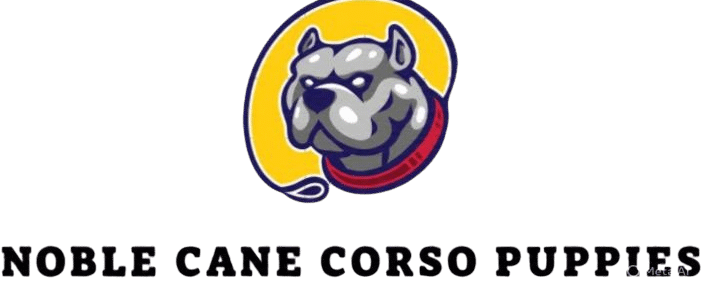 Noble Cane Corso Puppies